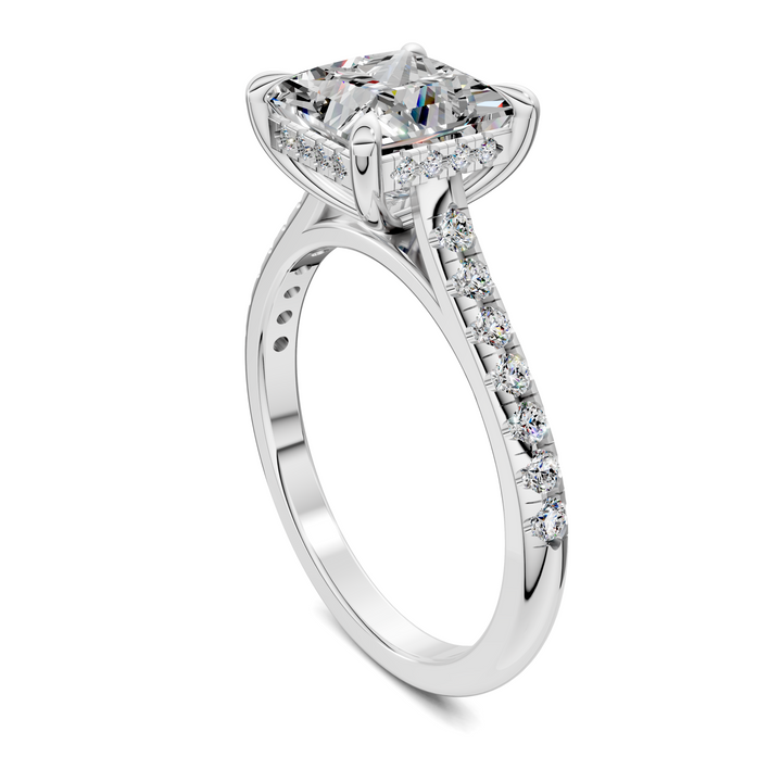 Hollie Hidden Halo Cathedral Pavé Ring