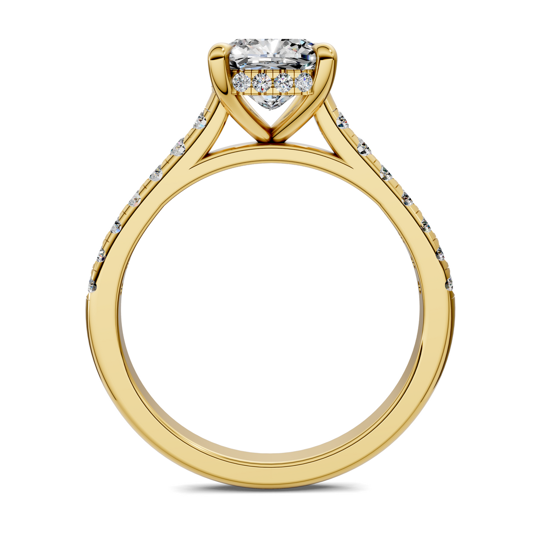 Hollie Hidden Halo Cathedral Pavé Ring