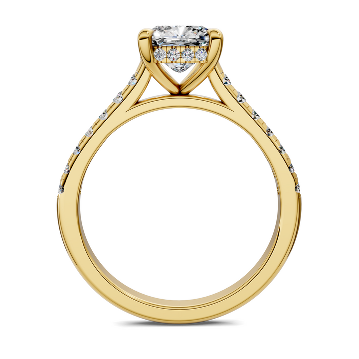 Hollie Hidden Halo Cathedral Pavé Ring