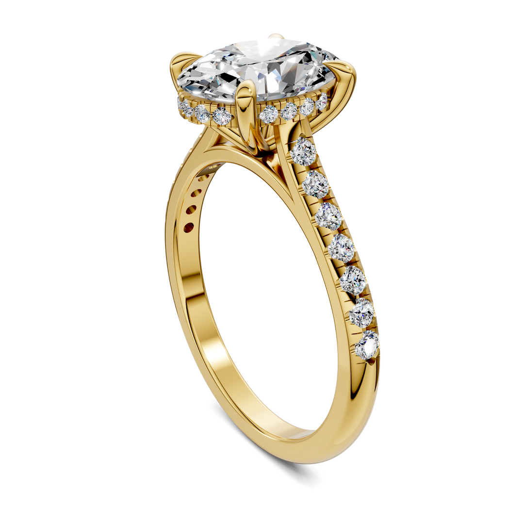 Hollie Hidden Halo Cathedral Pavé Ring