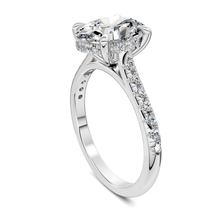 Hollie Hidden Halo Cathedral Pavé Ring
