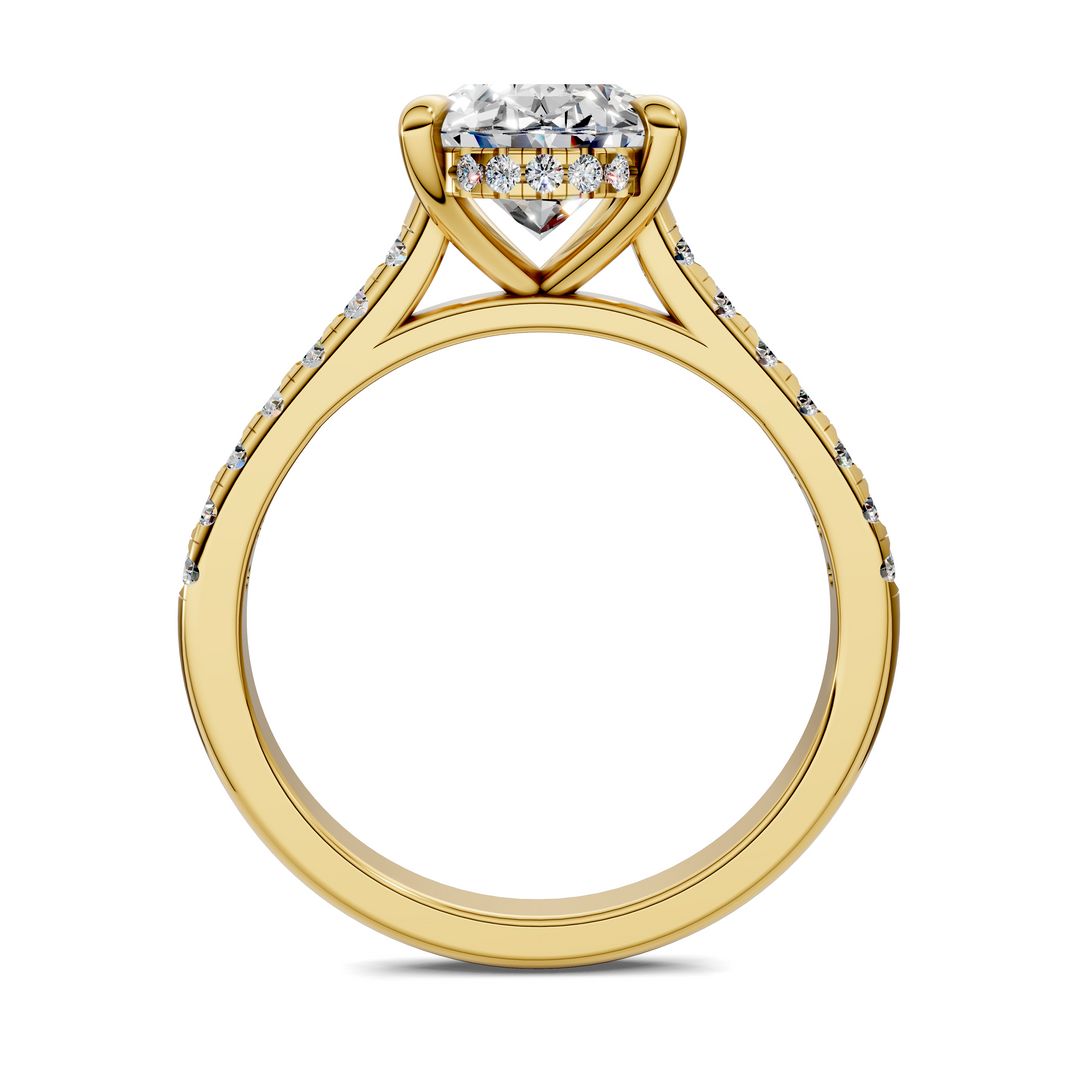 Hollie Hidden Halo Cathedral Pavé Ring