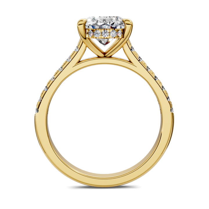 Hollie Hidden Halo Cathedral Pavé Ring