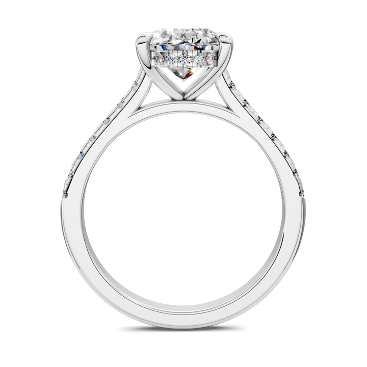 Hollie Hidden Halo Cathedral Pavé Ring