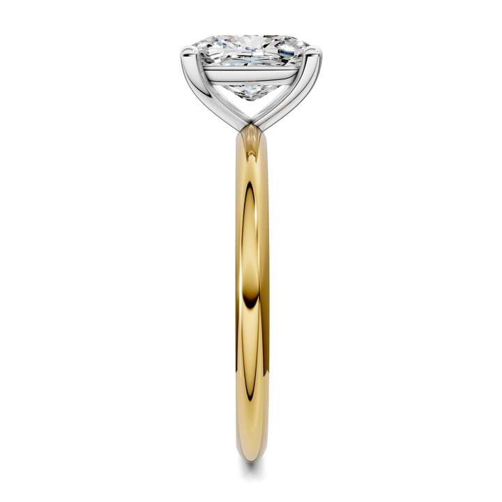Sally Two-Tone Solitaire Ring Setting